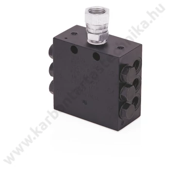 CSP Divider Valve, 1/8 inch BSPP, 6 Outlets