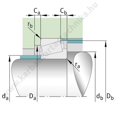 32305-DY         (FAG)